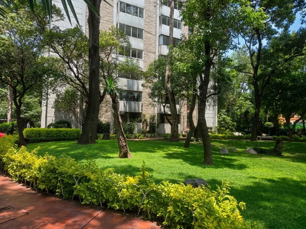 Áreas verdes y jardines en oficina virtual de Coyoacán CDMX